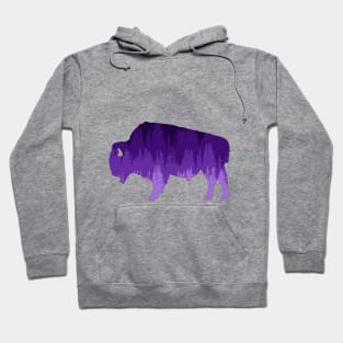 Purple Ombre Bison Hoodie